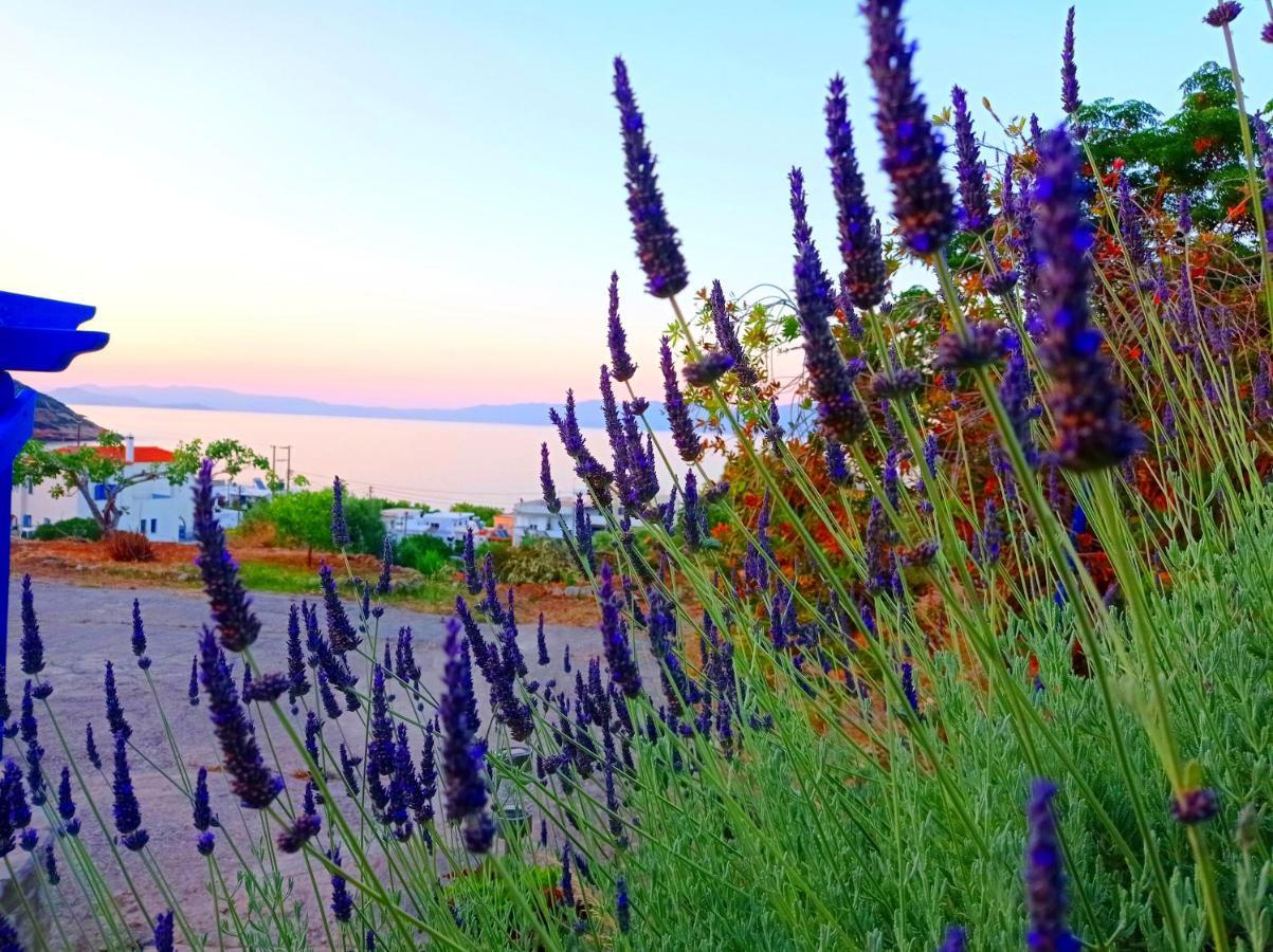 Evangelia House Sea View Apartments Agia Pelagia  외부 사진