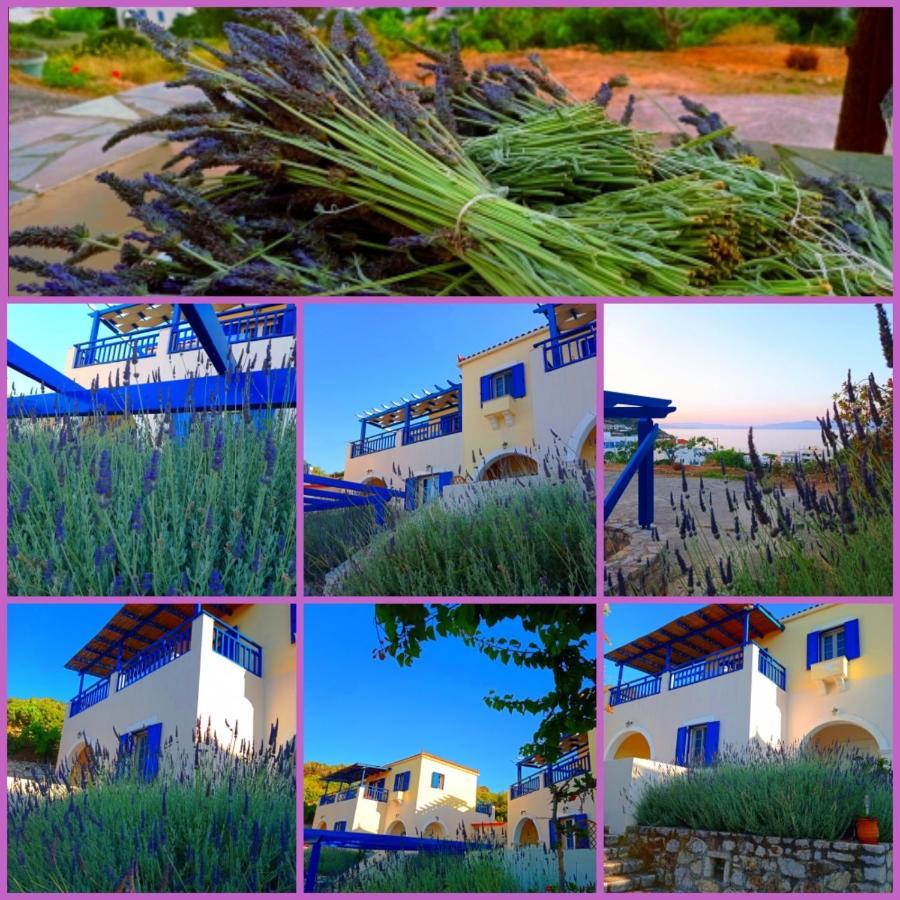 Evangelia House Sea View Apartments Agia Pelagia  외부 사진