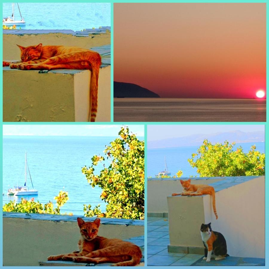 Evangelia House Sea View Apartments Agia Pelagia  외부 사진